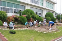 ６月７日　１年６年花壇植え付け.jpg